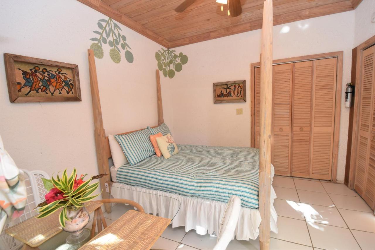 The Sugar Apple Lodging Dunmore Town Exteriér fotografie
