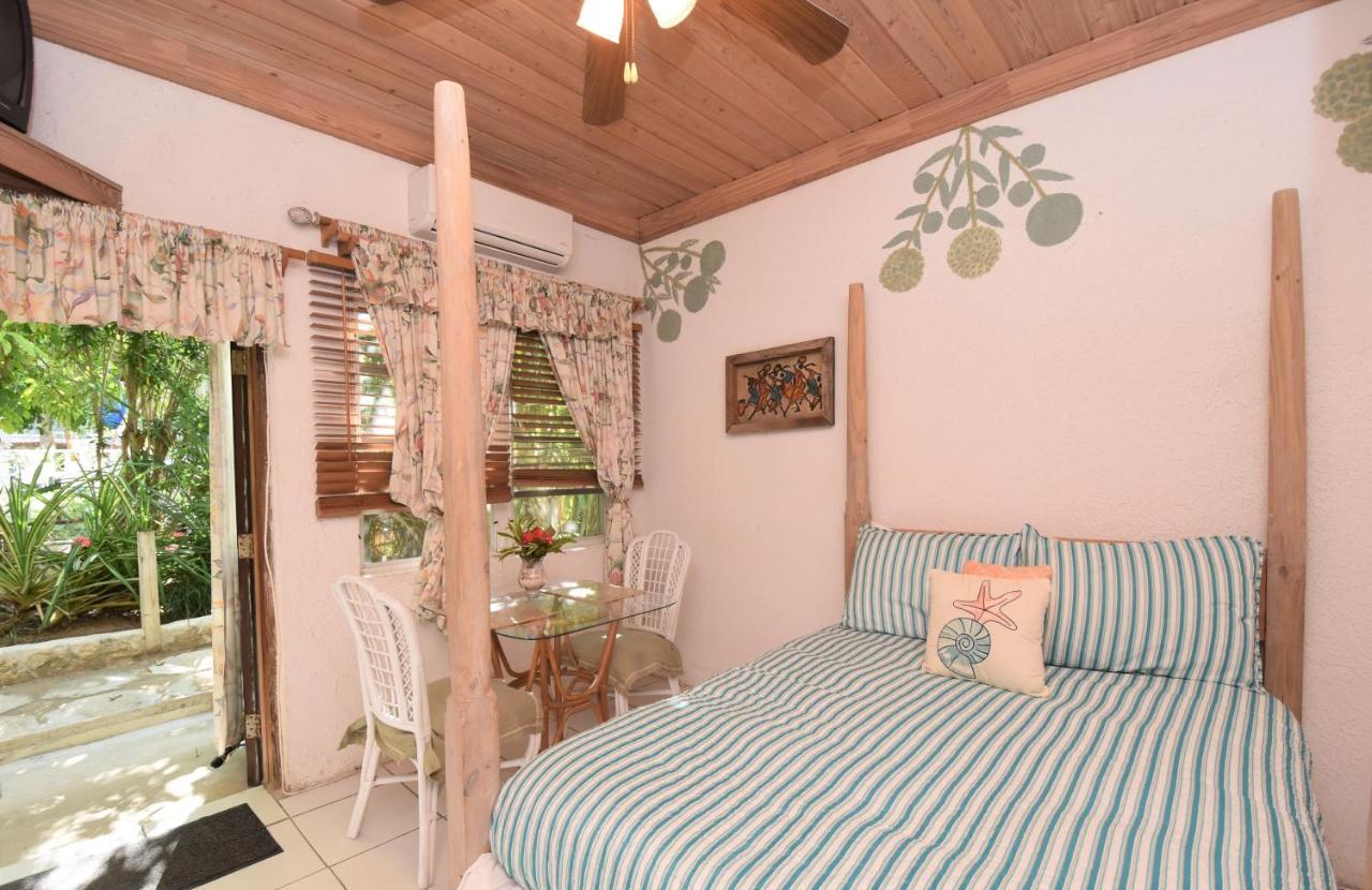 The Sugar Apple Lodging Dunmore Town Exteriér fotografie